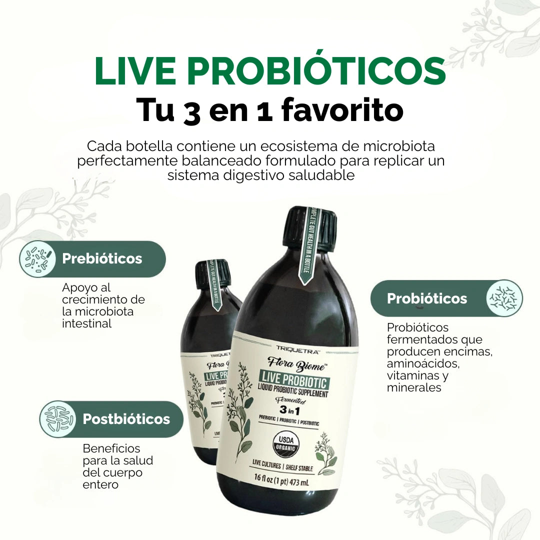 LIVE PROBIÓTICOS - SALUD INTESTINAL