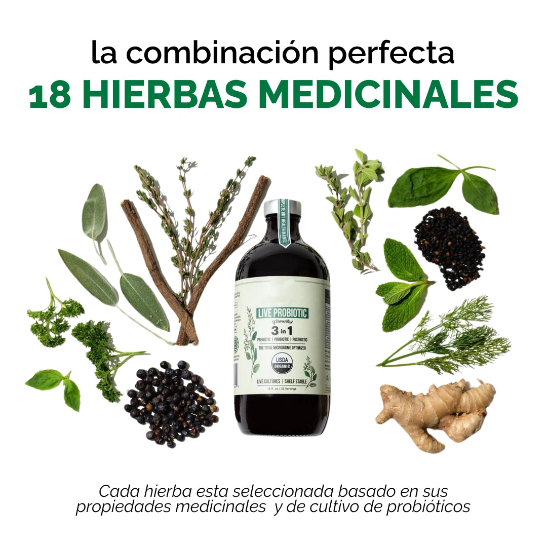 LIVE PROBIÓTICOS - SALUD INTESTINAL