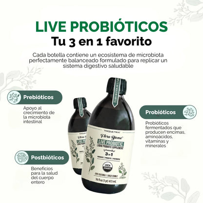 LIVE PROBIÓTICOS - SALUD INTESTINAL